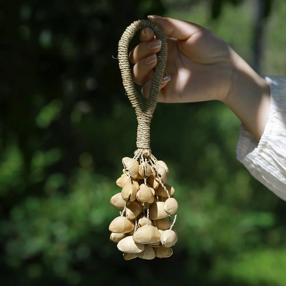 Fruit Shell Bell Sound Healing Accompaniment Natural Fruit Hand-cranked Bell Relaxation Musical Instruments Percussion